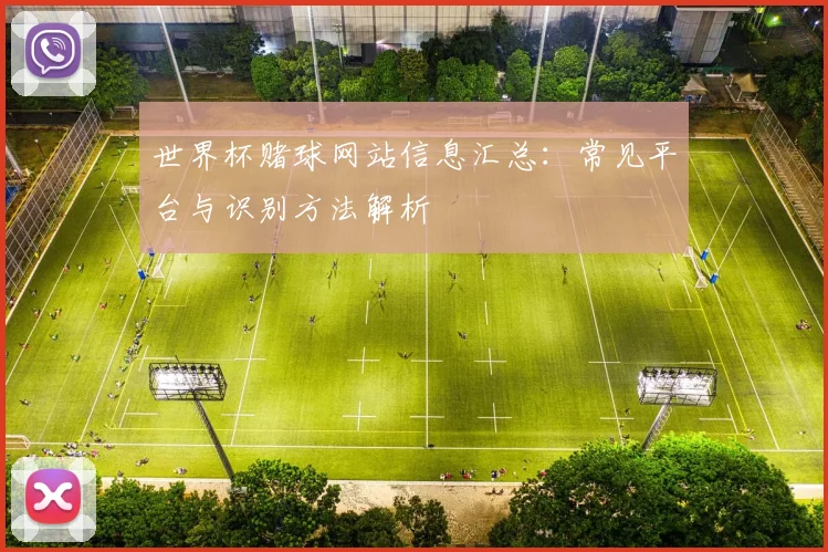 世界杯赌球网站信息汇总:常见平台与识别方法解析