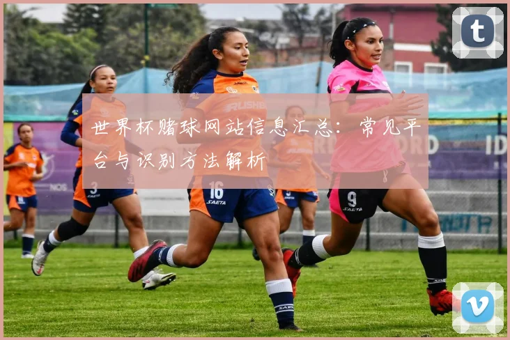 世界杯赌球网站信息汇总:常见平台与识别方法解析