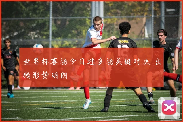 世界杯赛场今日迎多场关键对决 出线形势明朗