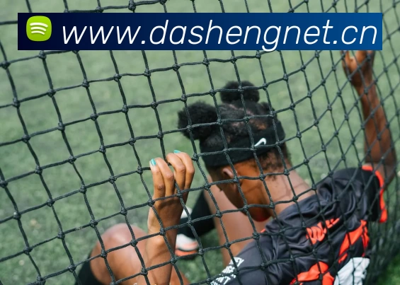 开云(中国)Kaiyun·官方网站 - 登录入口品牌故事